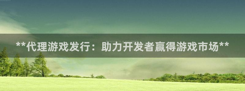 天辰171：**代理游戏发行：助力开发者赢得游戏市场**