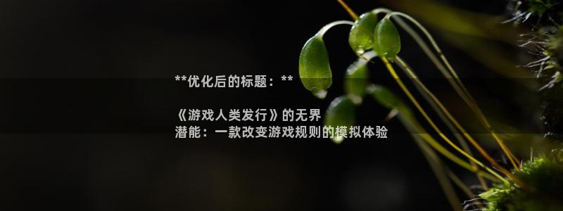 天辰会员开户多少钱：**优化后的标题：**

《游戏人类发行》的无界
潜能：一款改变游戏规则的模拟体验