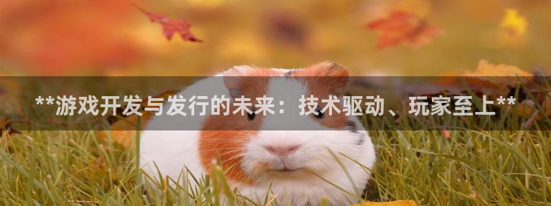 天辰平台测速登录失败：**游戏开发与发行的未来：技术驱动、玩家至上**
