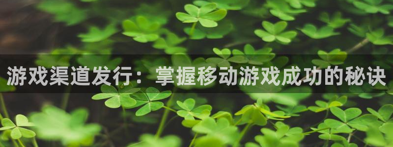 天辰平台注册登录地址在哪里看：游戏渠道发行：掌握移动游戏成功的秘诀