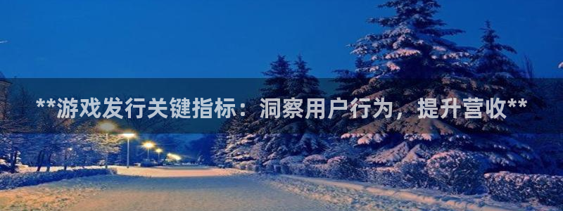 天辰网站：**游戏发行关键指标：洞察用户行为，提升营收**