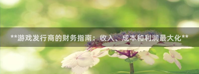 天辰平台注册地址怎么改不了：**游戏发行商的财务指南：收入、成本和利润最大化**