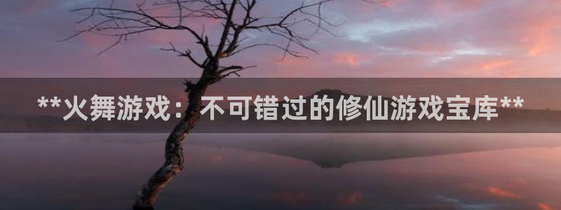 天辰娱乐的老板是谁：**火舞游戏：不可错过的修仙游戏宝库**