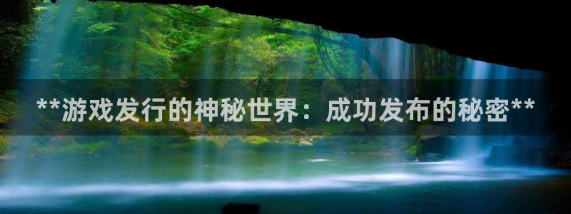 天辰平台招商1111怎么样：**游戏发行的神秘世界：成功发布的秘密**