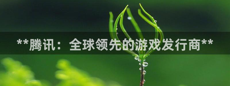 天辰平台测速登录不上：**腾讯：全球领先的游戏发行商**