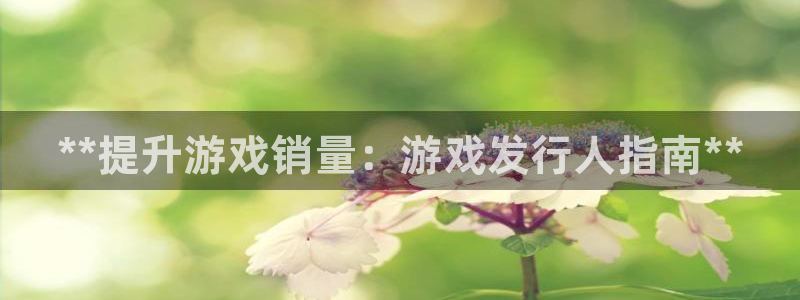 天辰注册平台：**提升游戏销量：游戏发行人指南**