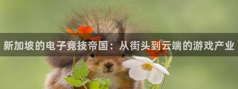 天辰平台注册稳定通道推荐设置